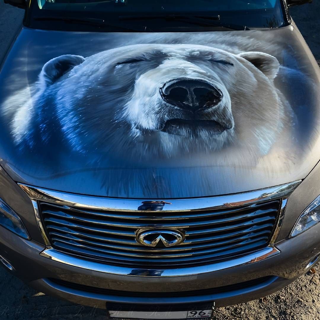 Polar Bear автомобиль