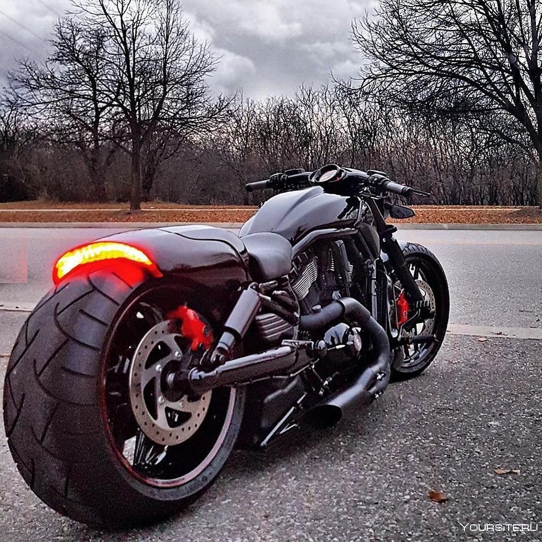 Harley Davidson v Rod