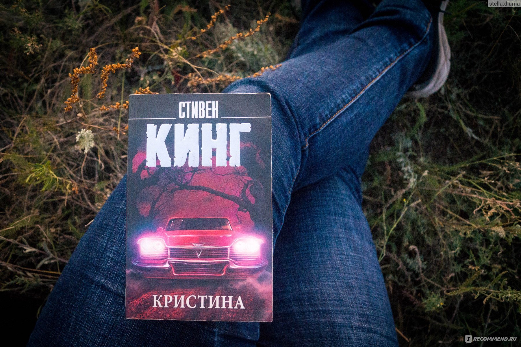 Книга про кристину