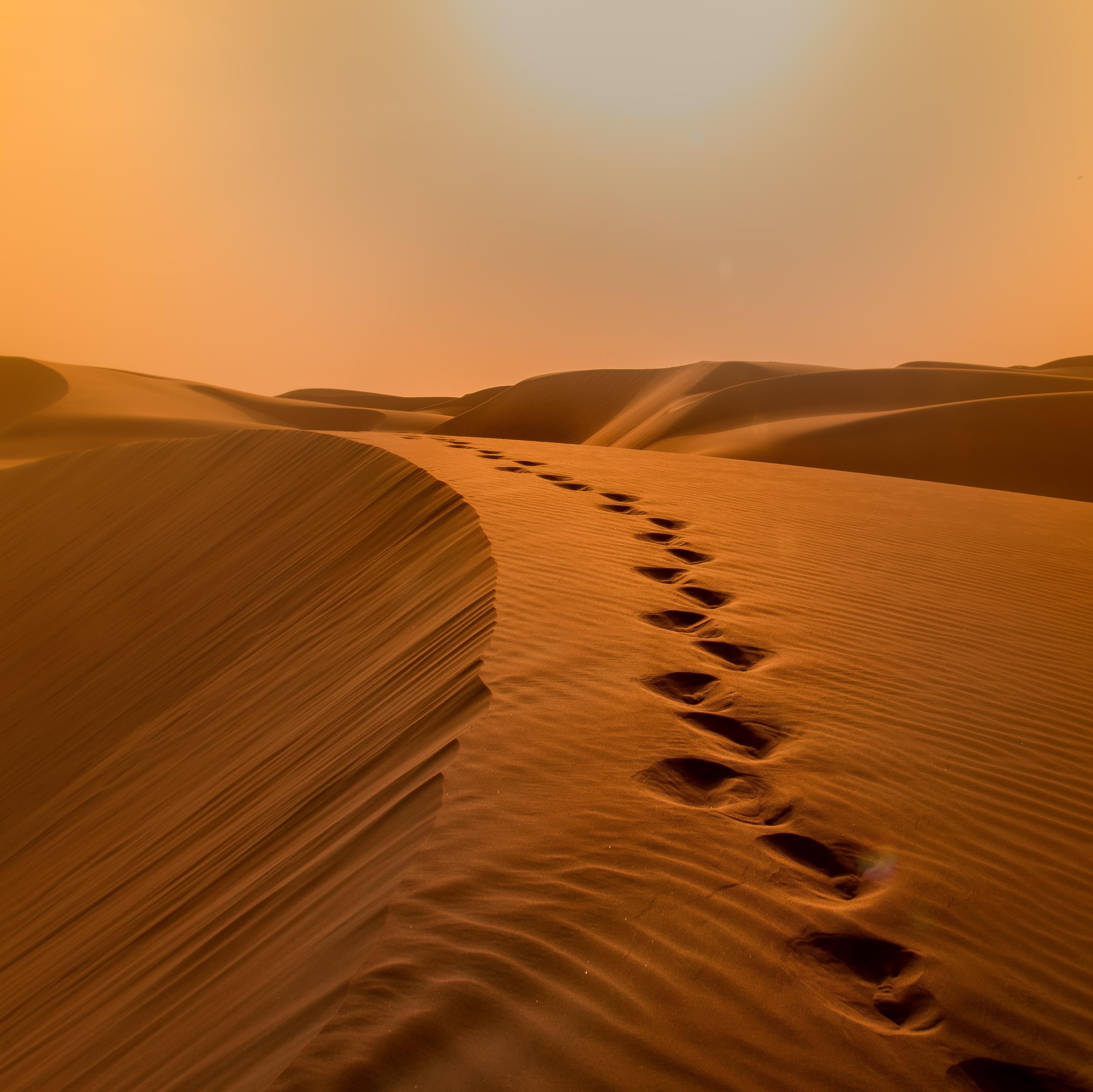 Арабский оазис. Оазис в арабской пустыне. Аравийская пустыня ОАЭ. Каменные пустыни Эрги. Аравийская пустыня климат.