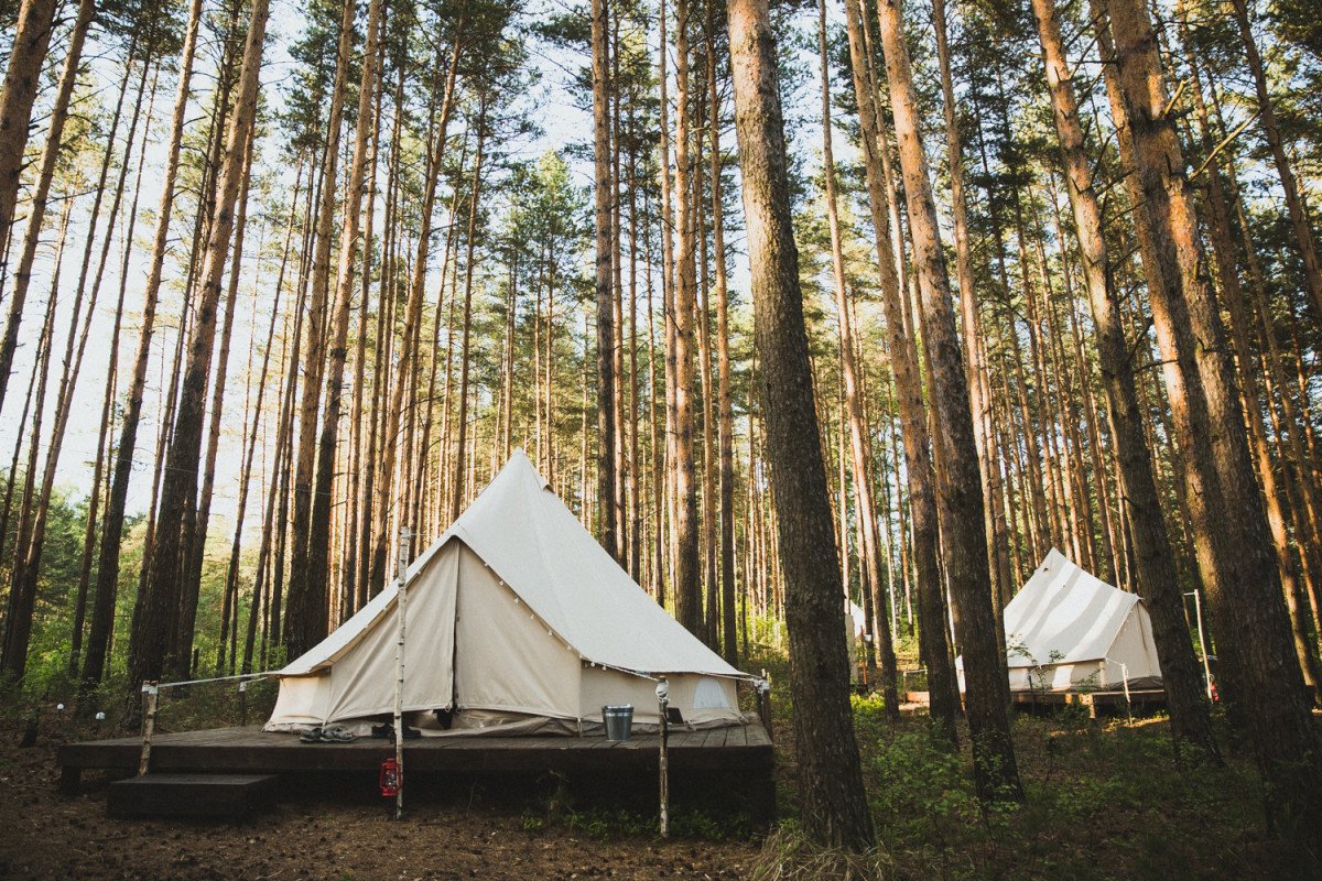 Лес и море палаточный лагерь Калязин
