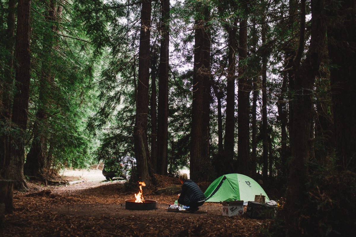 Форест-парк/ Forest Camp.