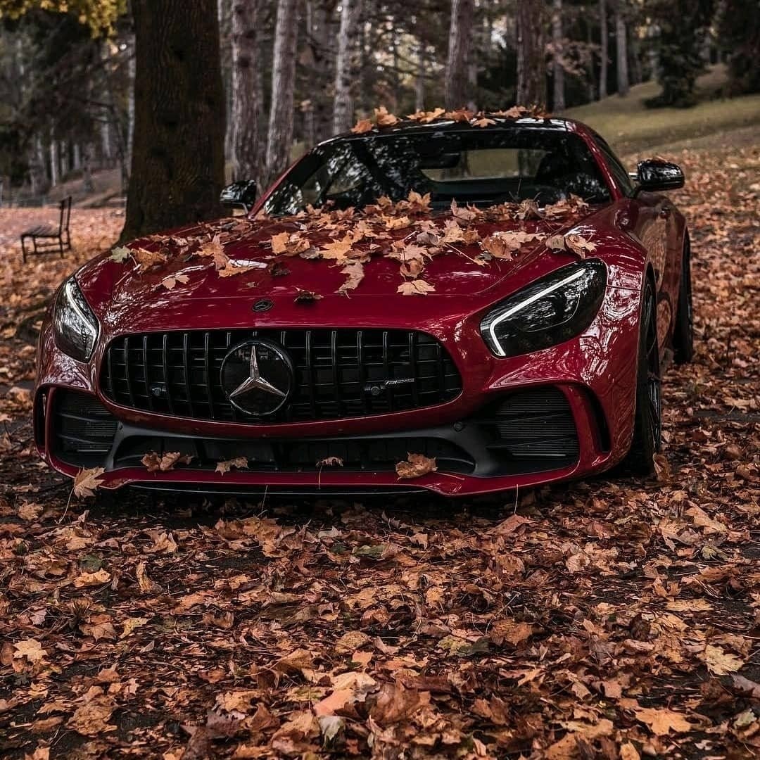 Бордовые Мерседес АМГ