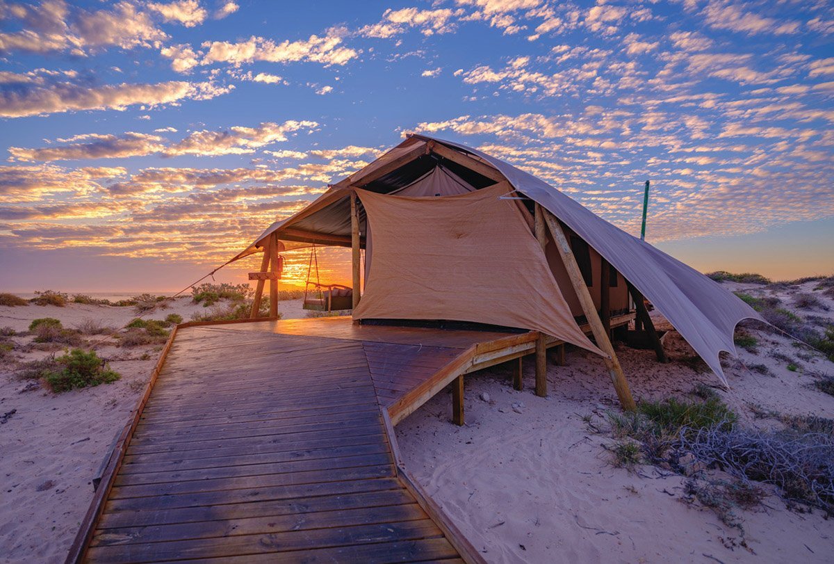 Eco Holiday Alaska