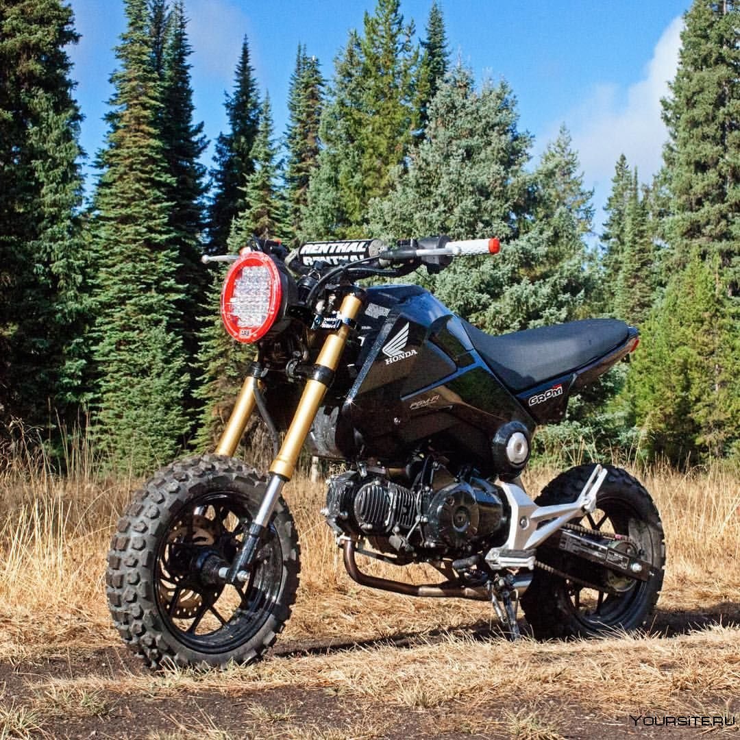 Honda Grom off Road