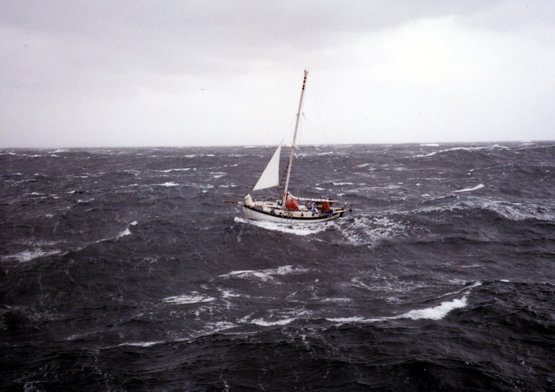 Лодки белого моря