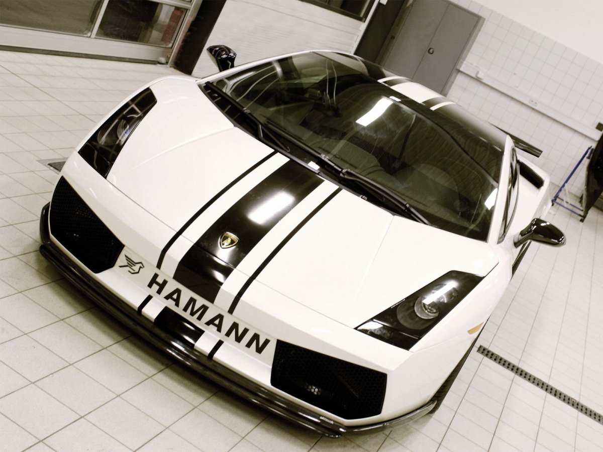 Modifiyeli Lamborghini Gallardo