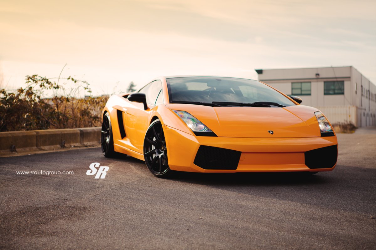 Gallardo №3