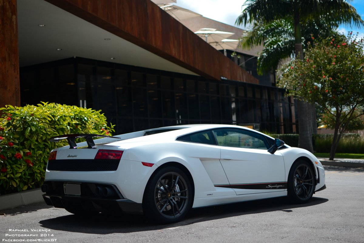Lamborghini Gallardo Superleggera White