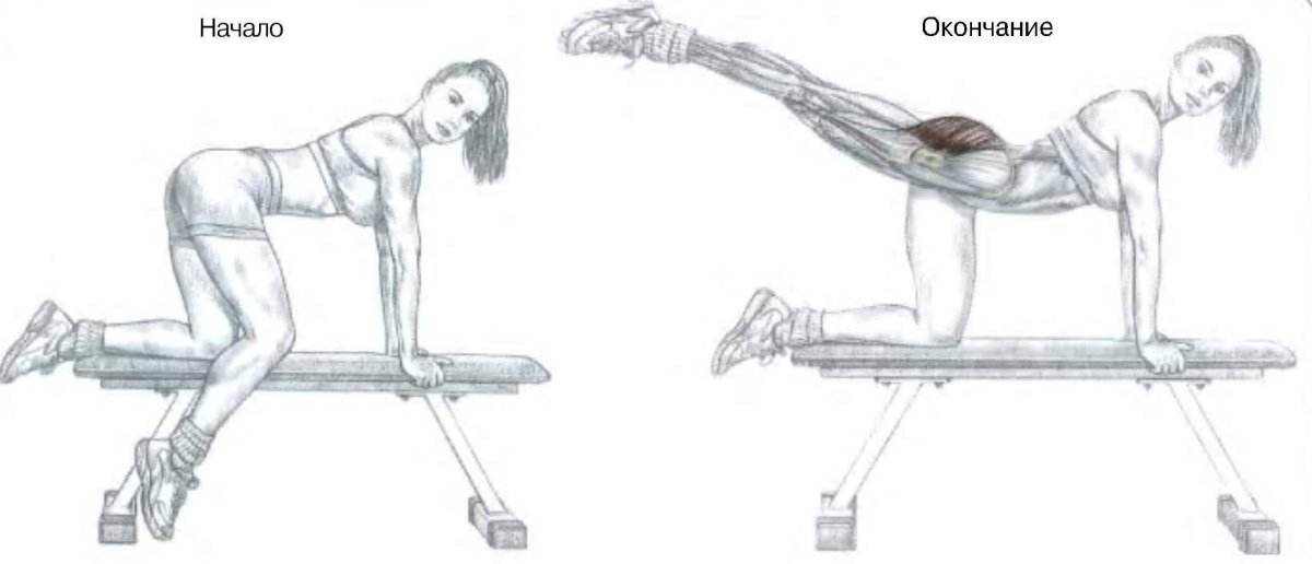 Отведение ноги в сторону мышцы