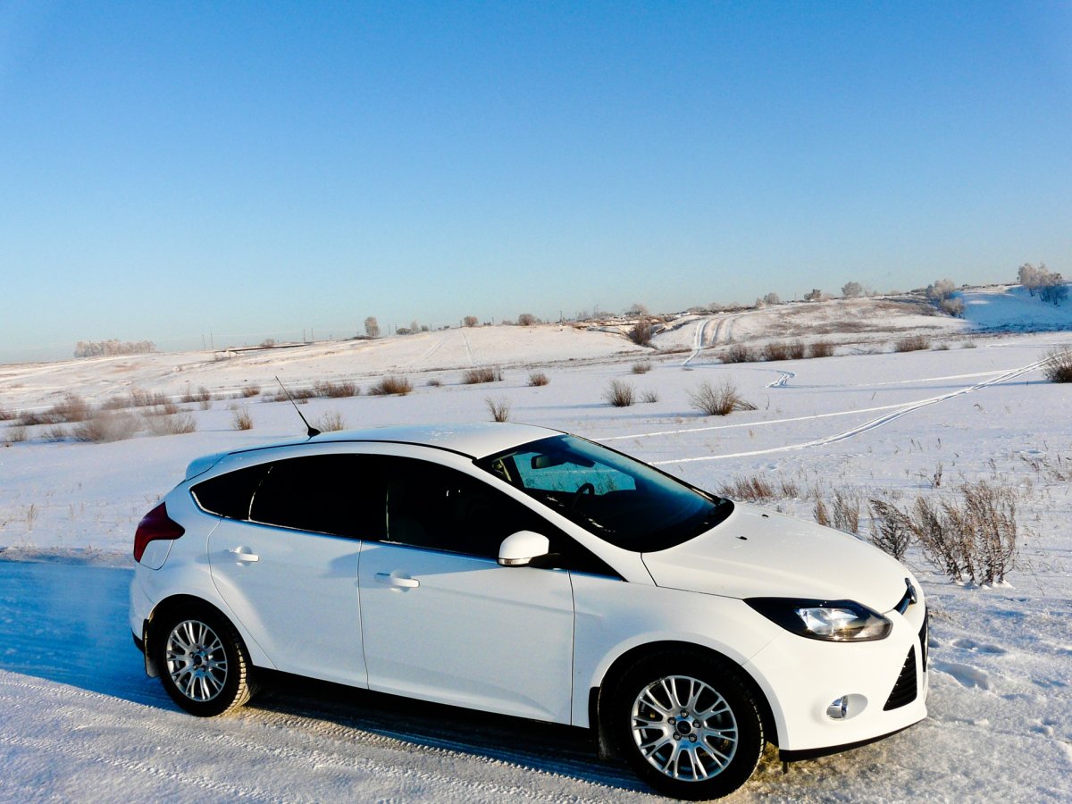 Ford Focus 2014 хэтчбек