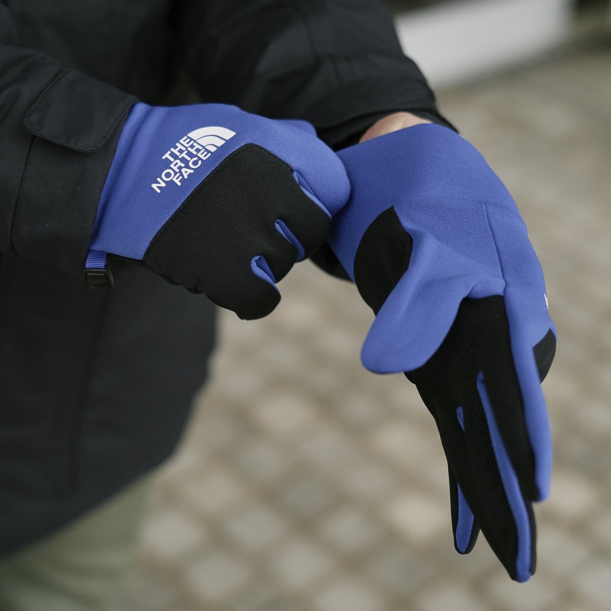 Перчатки the North face Etip Glove