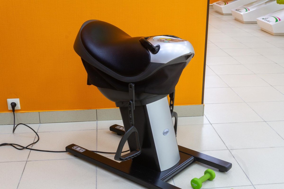 Иппотренажер Rodeo HS-2500