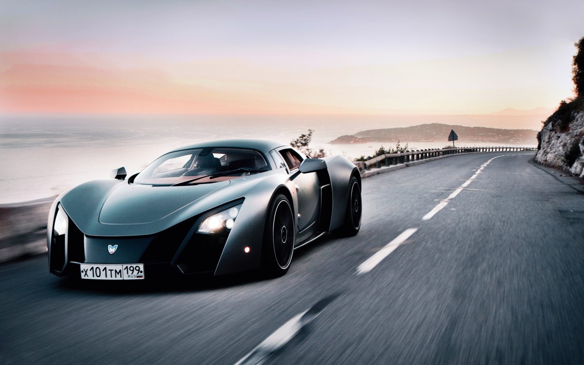 Marussia l1