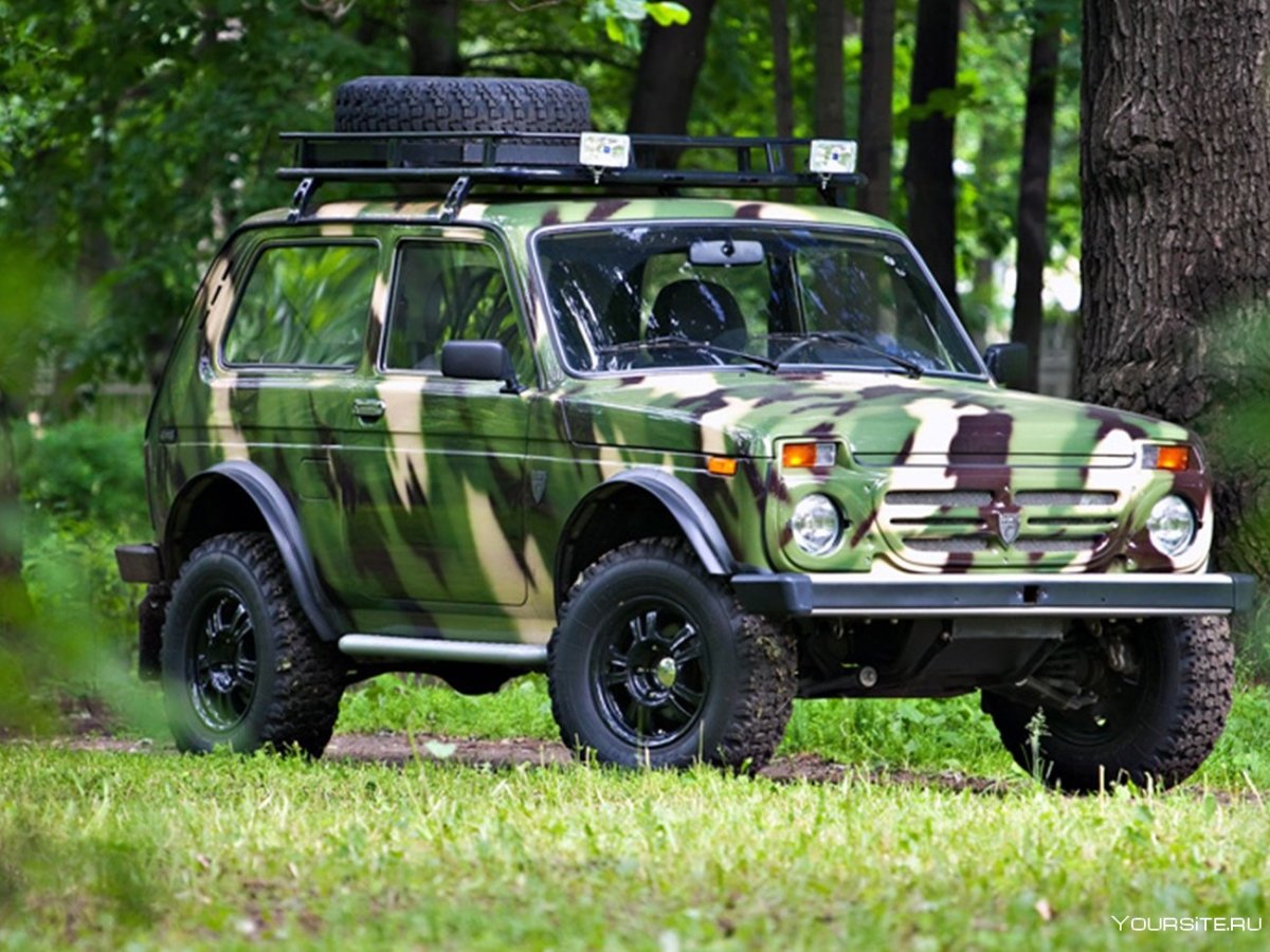 Нива Бронто Рысь 1