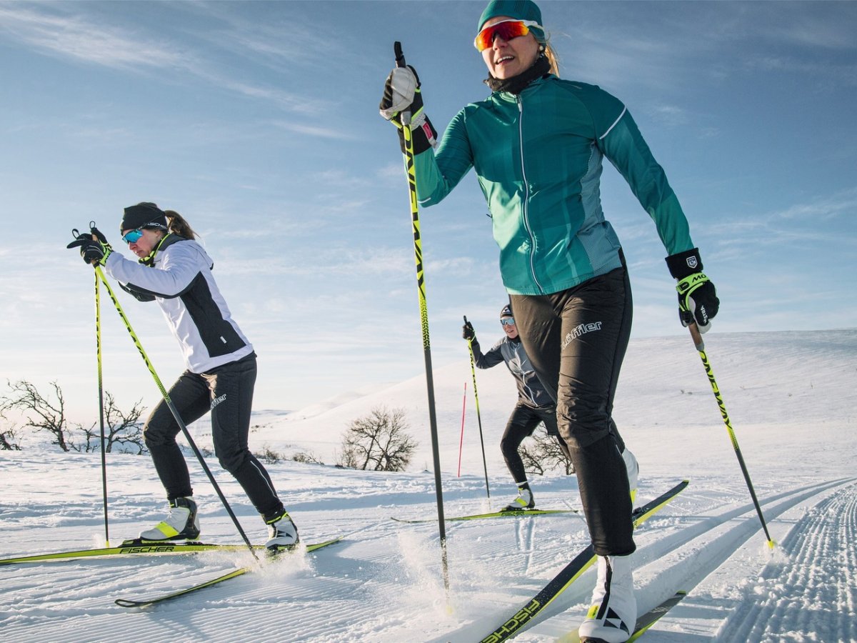 Стайерские дистанции в лыжах