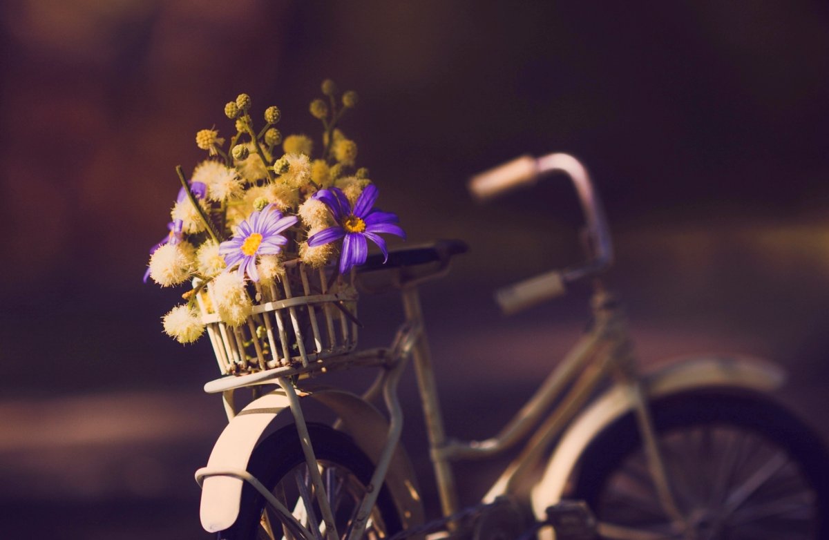 Велосипед с полевыми цветами