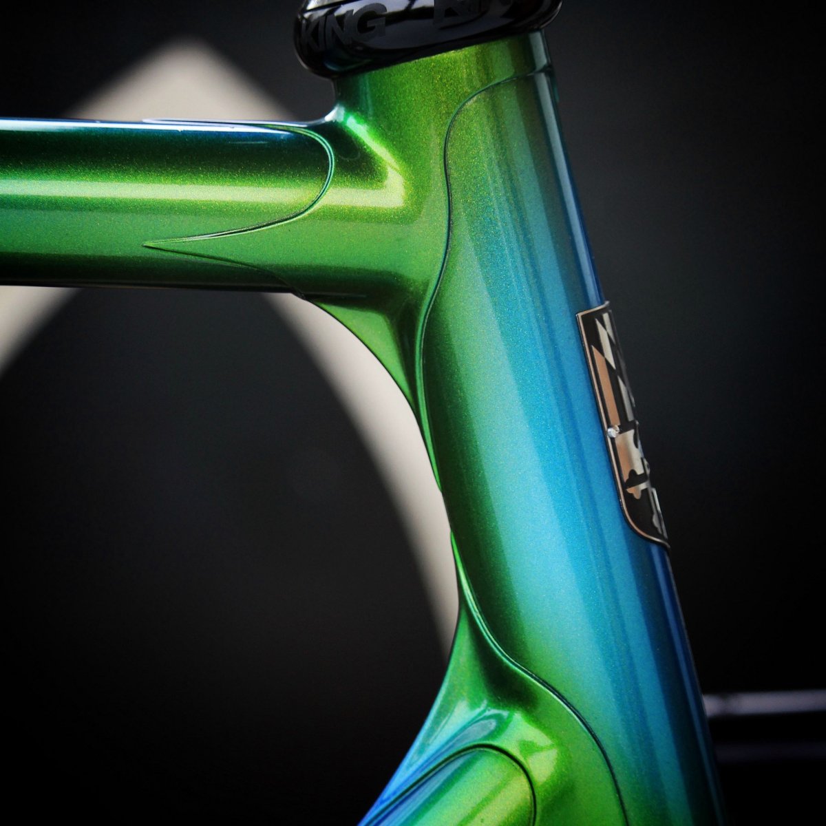 Бишоп диски