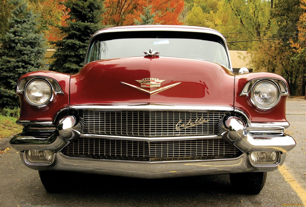 1956 Cadillac Maharani Special
