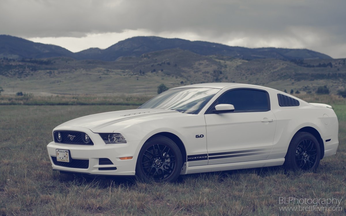 Ford Mustang 2013 белый
