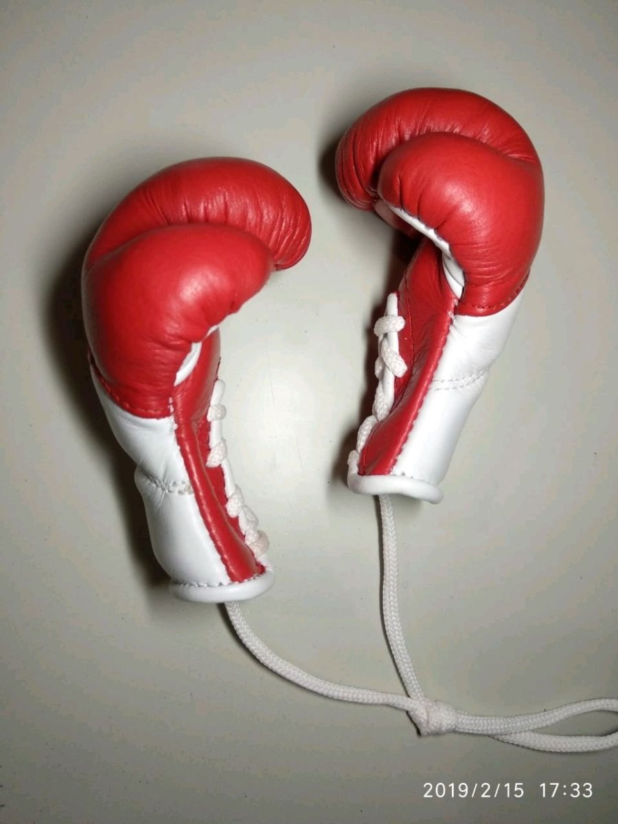 Перчатки боксерские Матадор