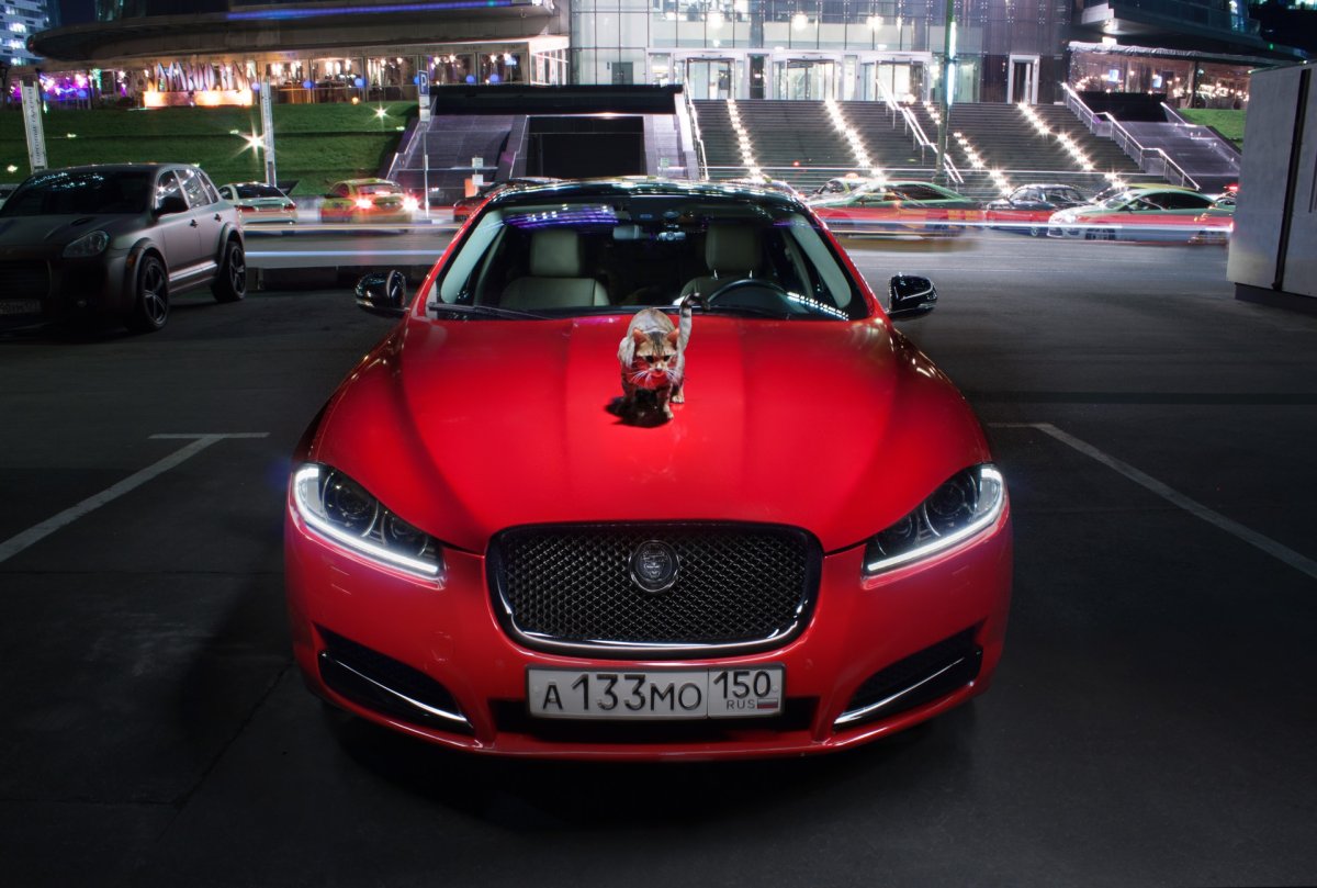 Jaguar XF красный