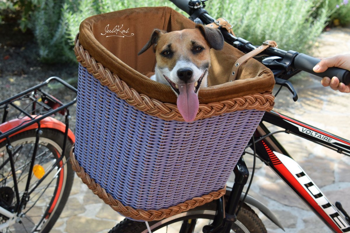 Велокорзина для собак