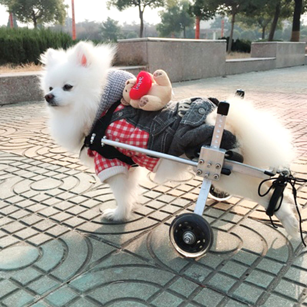 Инвалидные коляски Dog wheelchairs