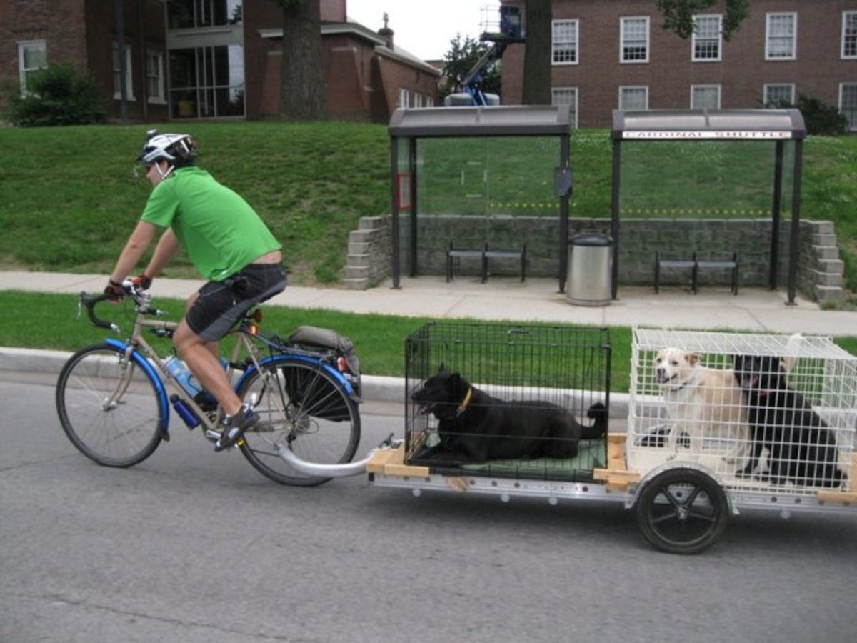 Тележка для собаки на велосипед
