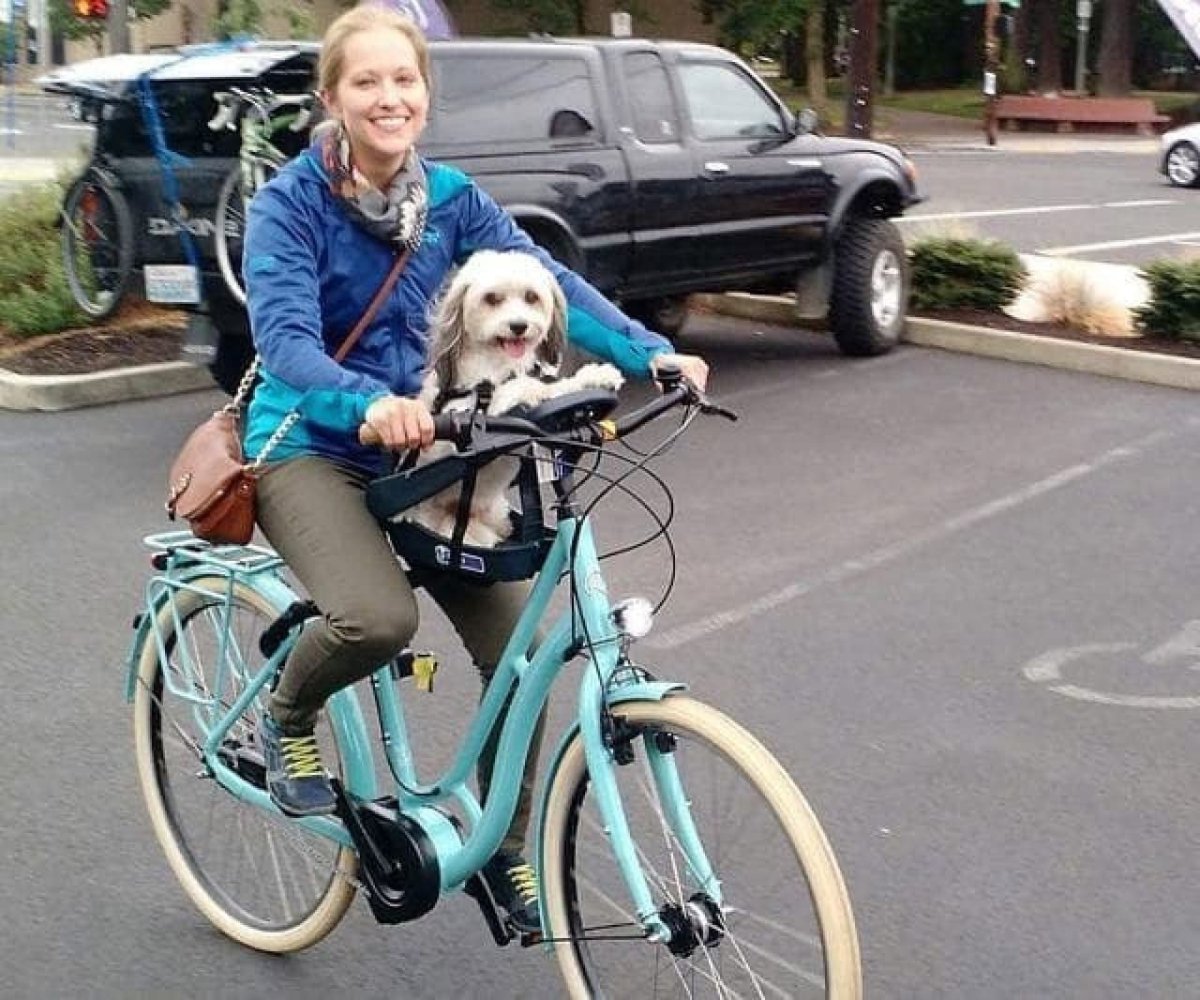 Велосипед с местом для собаки