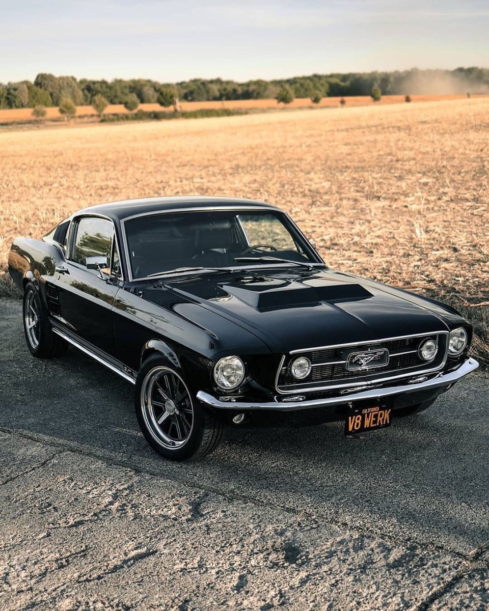 Mustang Fastback