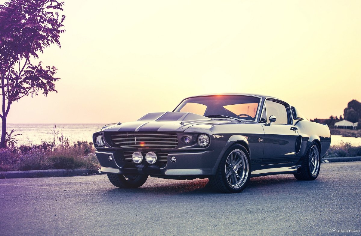 Форд Мустанг gt500 Shelby Eleanor