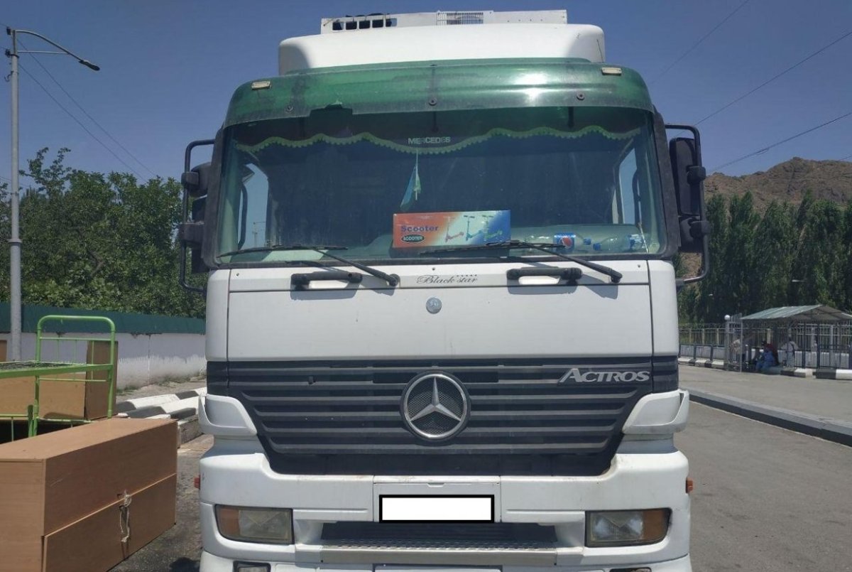 Сомон ТЖ грузовой