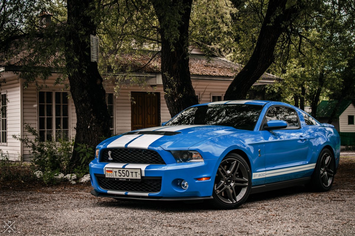 Ford Mustang Shelby gt500 Silver Blue