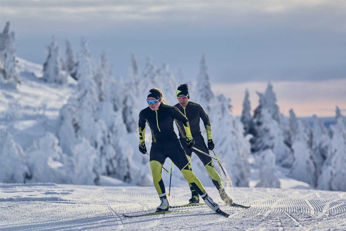 Лыжи горнолыжные Фишер 2021