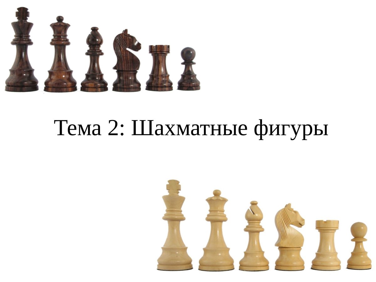 Название шахмат