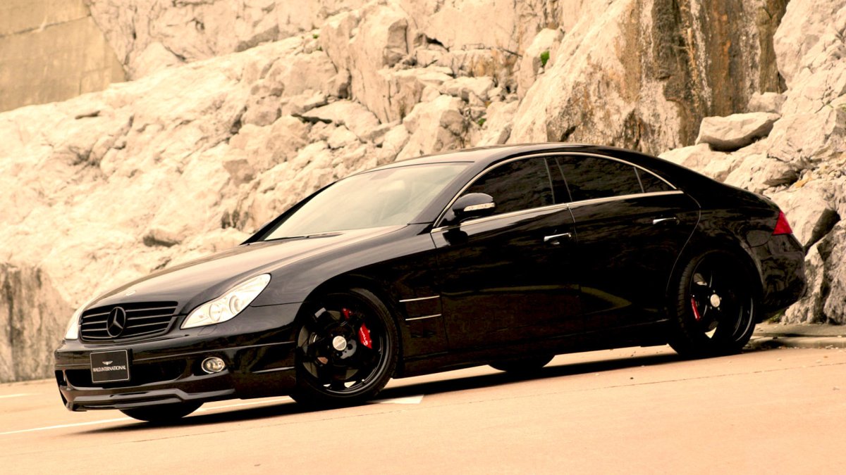 Mercedes Benz CLS 219