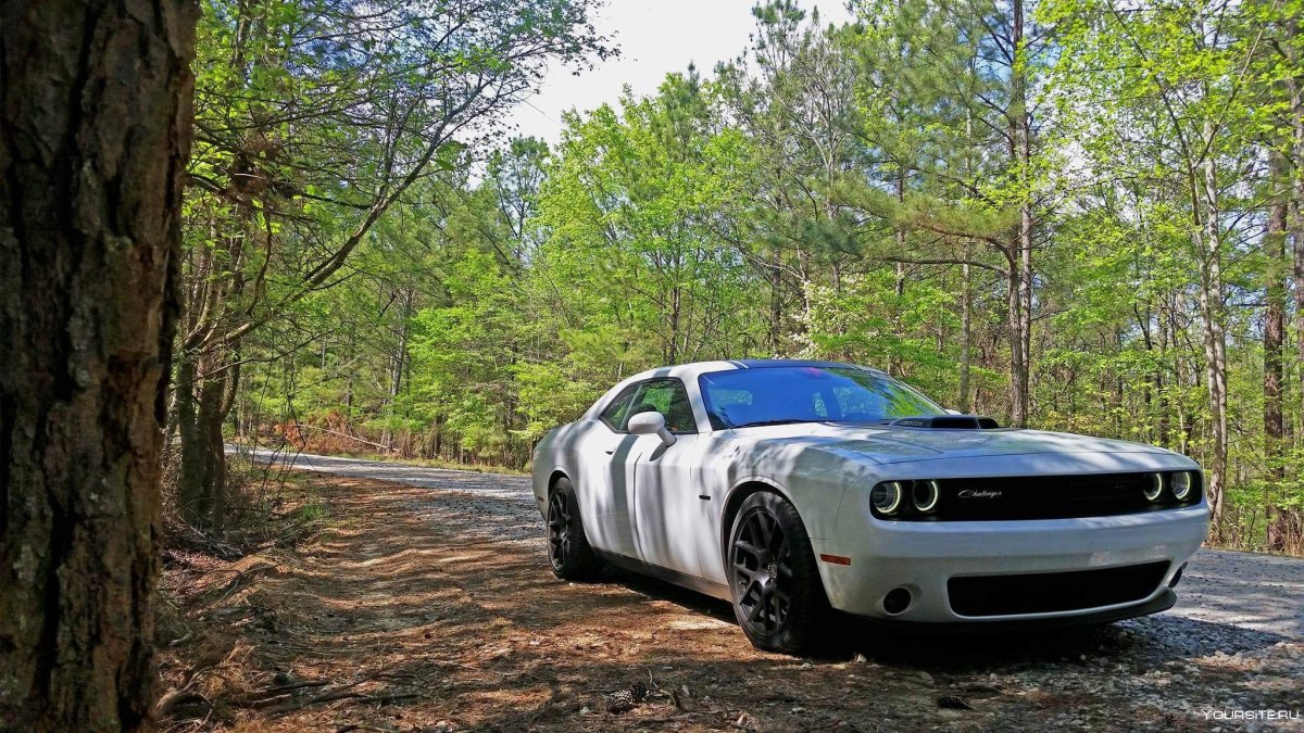 Dodge Challenger 2023