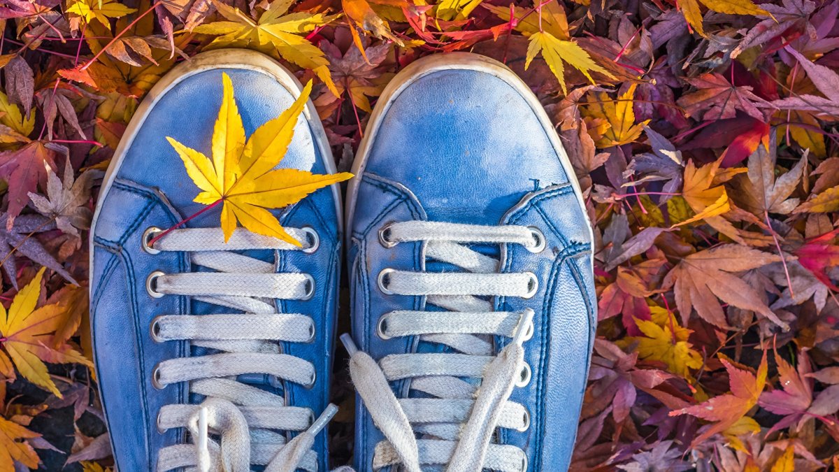 Осенние листья в ботинках