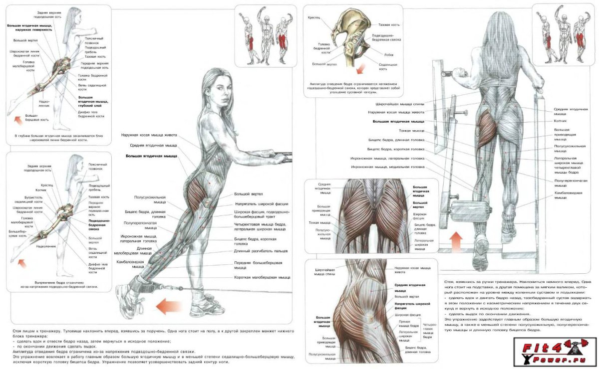 Отведение ног в тренажёре стоя мышцы