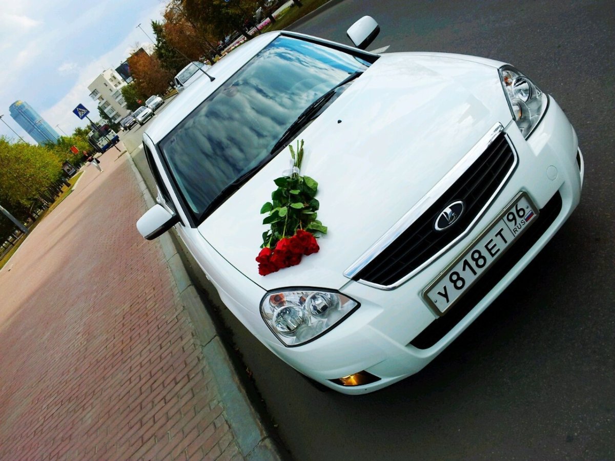 Цветы на белом авто