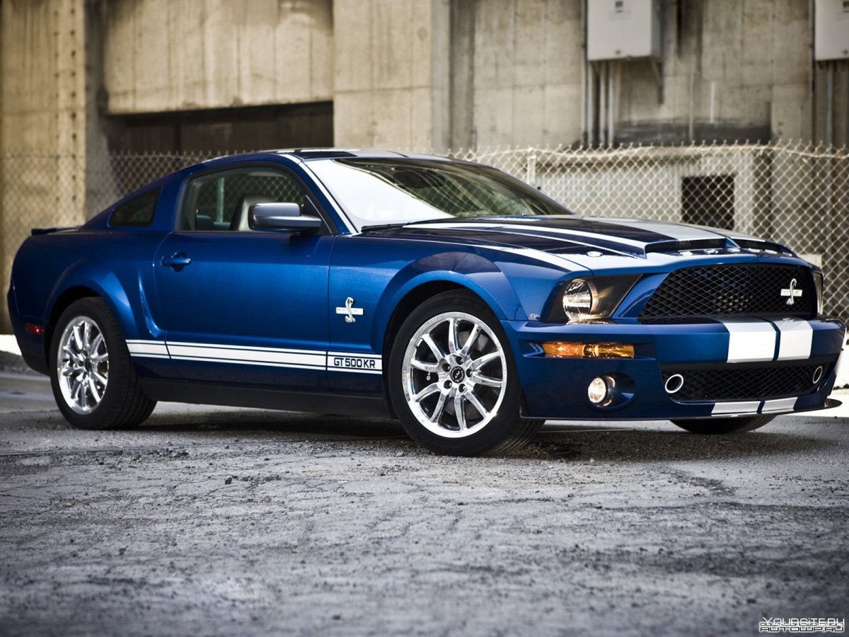 Форд Мустанг Шелби gt 500 2008