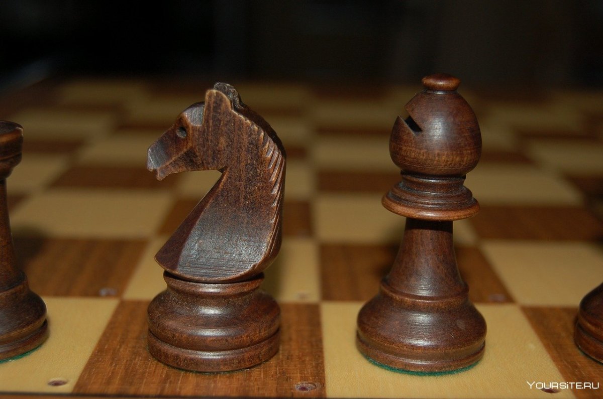 Фигурка слона в шахматах