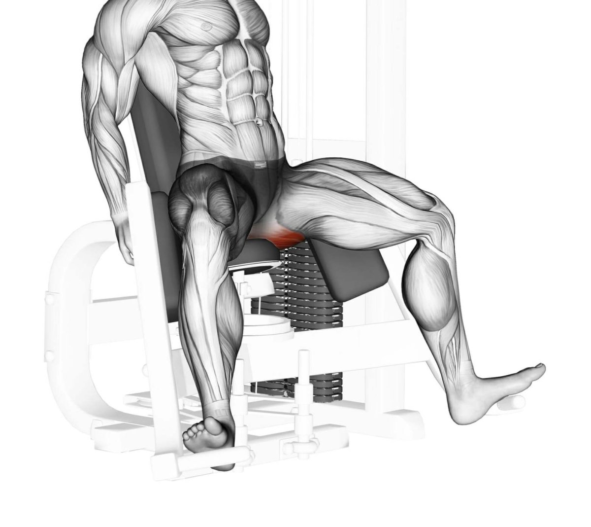 Разводка ног в тренажере сидя