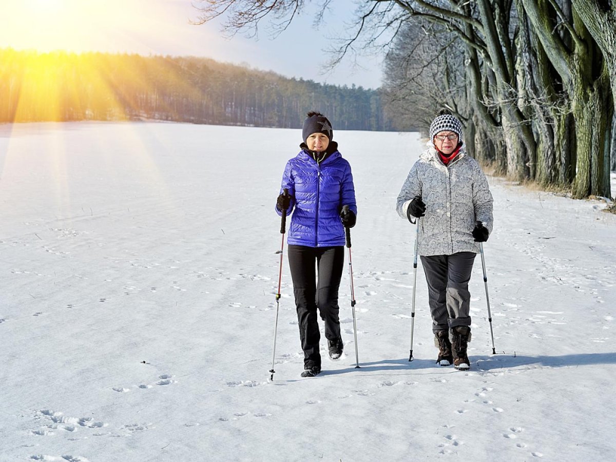 Финская ходьба зимой