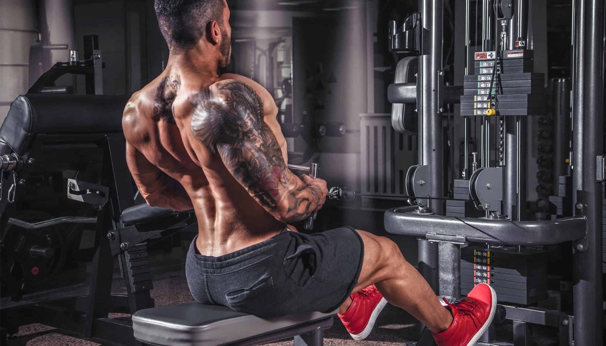 Тяга Нижнего блока к поясу