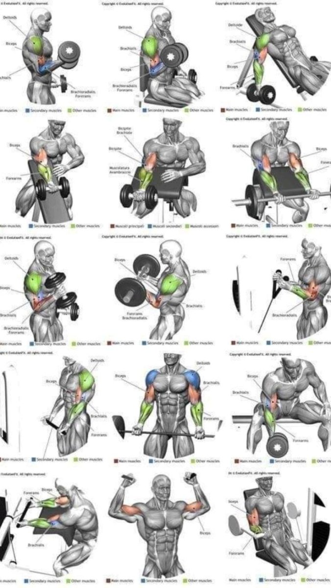 Упражнения на трицепс в тренажерном зале для мужчин