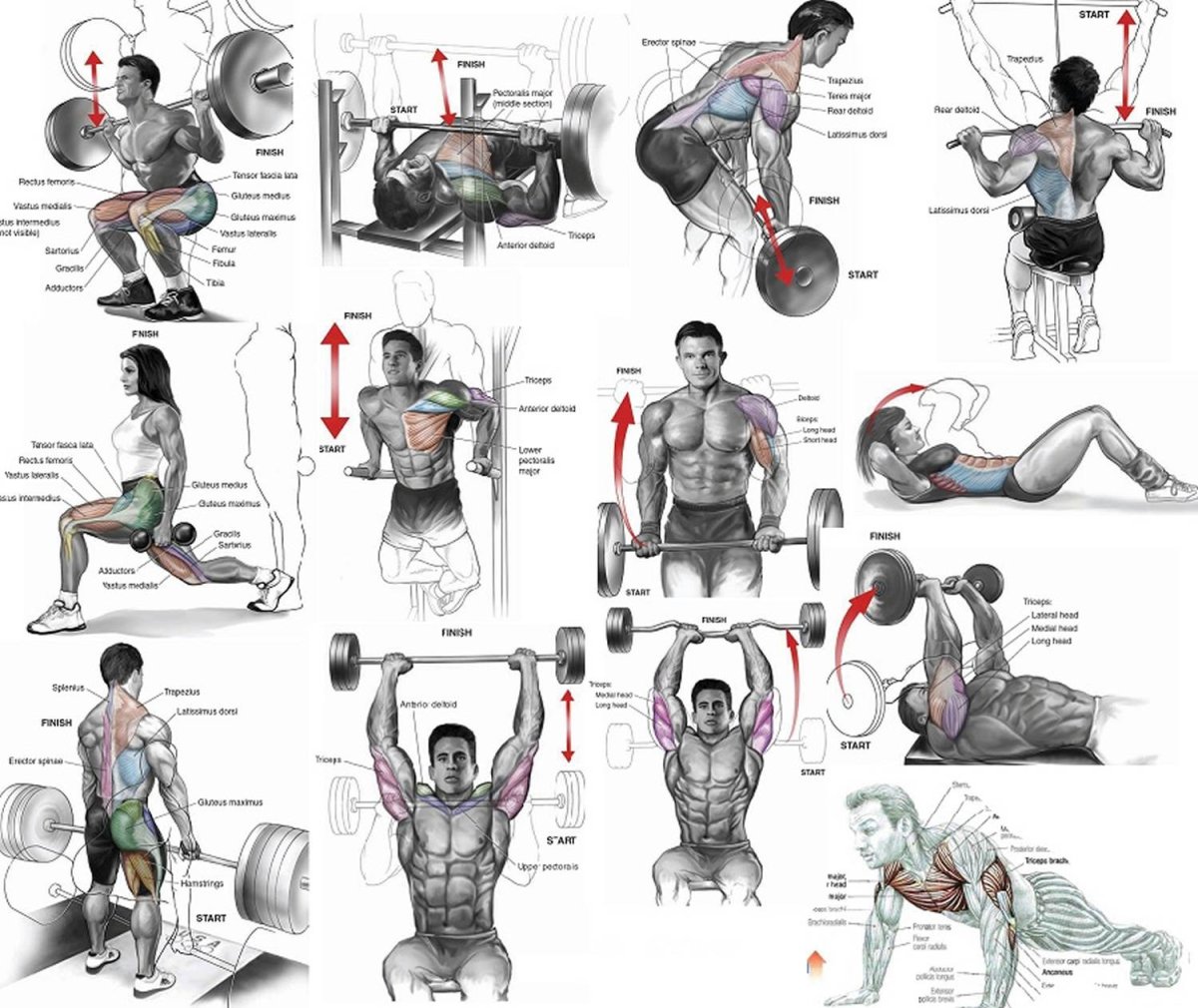 Упражнения для мышц в тренажерке