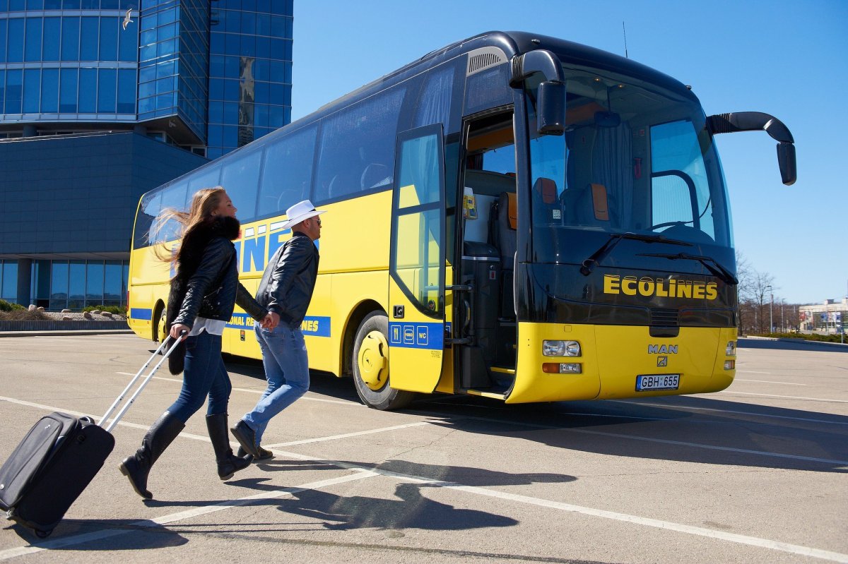 Автобусы Эколайнс Санкт-Петербург