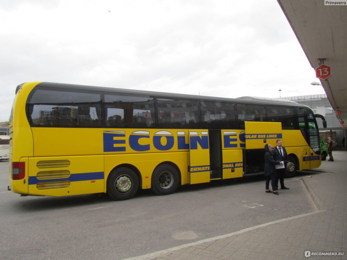 Двухэтажные автобусы Эколайнс